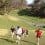 Running Camp