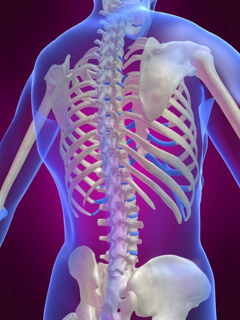 Spinal Manipulative Therapy Vinny Mulvey Fitness